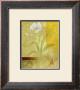 Butterfly Orchid by Fernando Leal Limited Edition Print