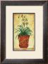 Single Stem Orchid by Merri Pattinian Limited Edition Print