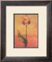 Tulip Abstract Vi by Sangita Limited Edition Print