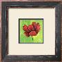 Un Amour De Cosmos by Anne Fremin Besombes Limited Edition Print