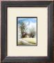 Almost Spring by Sharon Pedersen Limited Edition Print