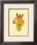 Iris Bloom Ii by M. Prajapati Limited Edition Print