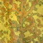 Close-Up Of A Maple Leaf Changing Color In The Fall by Jose Iselin Limited Edition Print