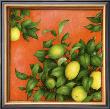 Citrons by Vincent Jeannerot Limited Edition Print