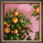 Oranges by Vincent Jeannerot Limited Edition Print