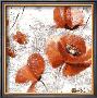 Trois Coquelicots by Pascal Cessou Limited Edition Pricing Art Print