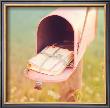Send A Letter by Mandy Lynne Limited Edition Pricing Art Print