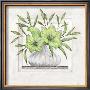 Lilies by Claudia Ancilotti Limited Edition Print