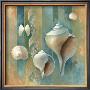 Ocean Treasures Ii by Elaine Vollherbst-Lane Limited Edition Pricing Art Print