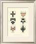 Coat Of Arms Iv by Catton Limited Edition Print