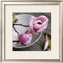 Magnolia On A Bowl by Catherine Beyler Limited Edition Print