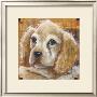 Pick Me! by Karen Dupre Limited Edition Print