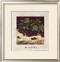 Blackberries by Richard Boyer Limited Edition Pricing Art Print