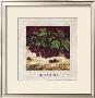 Blackberries by Richard Boyer Limited Edition Print