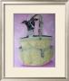 Italian Greyhound Basket by Carol Dillon Limited Edition Print