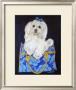 Maltese Clutch by Carol Dillon Limited Edition Pricing Art Print