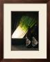 Sake And Leeks by Stephen Lebovits Limited Edition Print