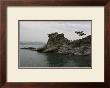 A Pine Tree At Wakaura Port In Japan by Ryuji Adachi Limited Edition Print