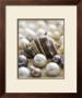 Sea Jewels Ii by Boyce Watt Limited Edition Pricing Art Print