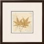 Color Me Maple Natural I by Albert Koetsier Limited Edition Print