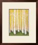 Autumn Birches by Lisa Congdon Limited Edition Pricing Art Print
