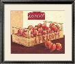 Sweet Apricots by Bjorn Baar Limited Edition Print