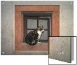 Cat Sitting On A Window Ledge by D.M. Limited Edition Print