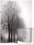 Trees In Foggy Winter Landscape by I.W. Limited Edition Print