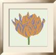 Soho Tulip Iii by Zachary Alexander Limited Edition Print