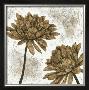 White Washed Dahlias I by Megan Meagher Limited Edition Print
