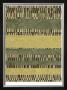 Linear Layers Ii by Jennifer Goldberger Limited Edition Print
