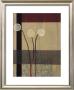Dandelions Ii by Gina Miller Limited Edition Print