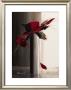 Bouquet Rouge Ii by Olivier Tramoni Limited Edition Pricing Art Print