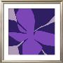 Flowers, C.2007 by Nicolas Le Beuan Benic Limited Edition Pricing Art Print