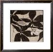 Vine I by Melissa Pluch Limited Edition Pricing Art Print