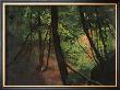 In The Middle Of The Forest by Gustav Klimt Limited Edition Print