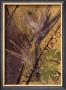 Rainforest Suite Ii by Mimi Cora Limited Edition Print