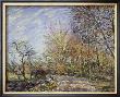 Outskirts Of The Fontainbleau Forest by Alfred Sisley Limited Edition Print