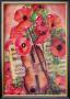 Violin And Poppies by Dina Cuthbertson Limited Edition Print
