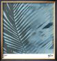 Sunset Palms Iii by M.J. Lew Limited Edition Print