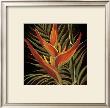 Birds Of Paradise I by Yvette St. Amant Limited Edition Pricing Art Print