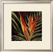 Birds Of Paradise Ii by Yvette St. Amant Limited Edition Pricing Art Print