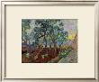 The Garden Of Saint Paul's Hospital Ii by Vincent Van Gogh Limited Edition Print