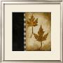 Maple Leaves Ii by Kimberly Poloson Limited Edition Pricing Art Print