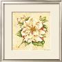 Camellia by Pamela Gladding Limited Edition Pricing Art Print