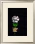 Daisy Flower Pot by Stephen Lebovits Limited Edition Pricing Art Print