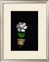 Daisy Flower Pot by Stephen Lebovits Limited Edition Pricing Art Print