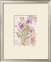 Irises by Maxine Collins Limited Edition Pricing Art Print
