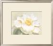 Camellia Elegance by Annemarie Peter-Jaumann Limited Edition Print