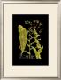 Weinmann Botanical On Black Viii by Johann Wilhelm Weinmann Limited Edition Pricing Art Print